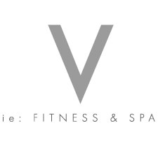vie logo
